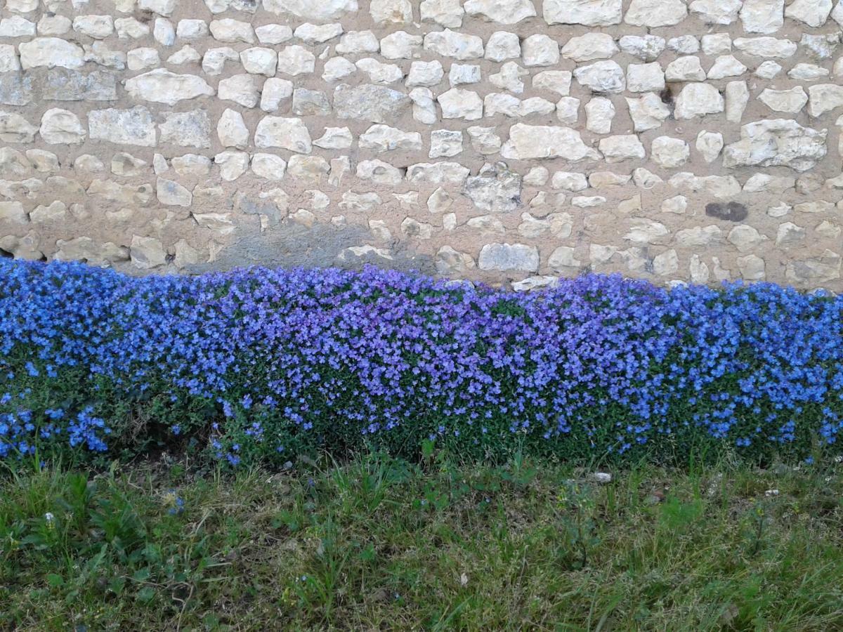 Fleur Du Soleil *